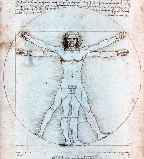 Hombre de Vitruvio” de Leonardo Da Vinci. 1492.